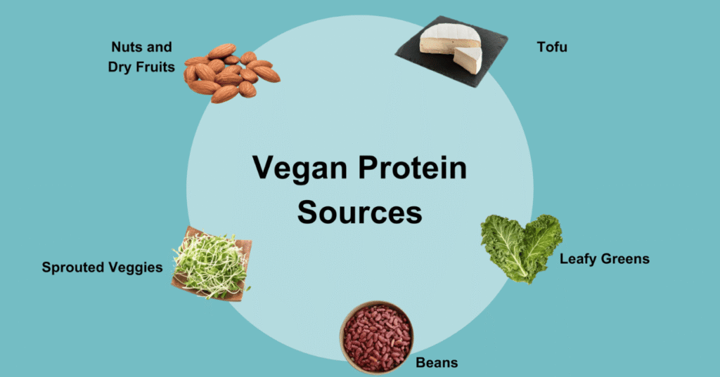 Vegan Protein Sources
