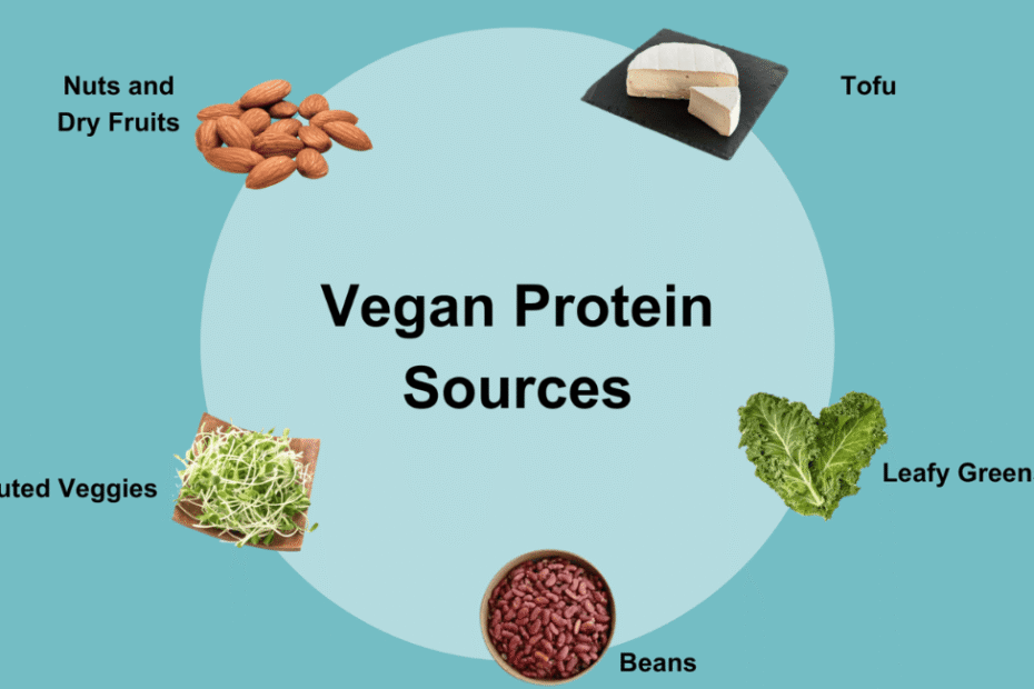 Vegan Protein Sources